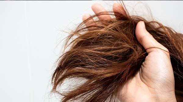 8 Major Causes Of Dry Hair That You Need To Know  Garnier India