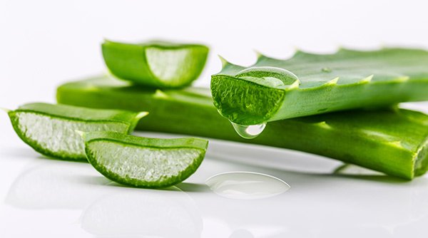 Benefits of Aloe Vera For Hair – Garnier India Benefits of Aloe Vera For Hair – Garnier India