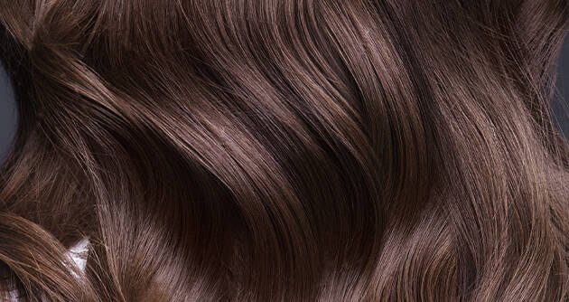Salon Bendžo Društvo Golden Highlights On Black Hair