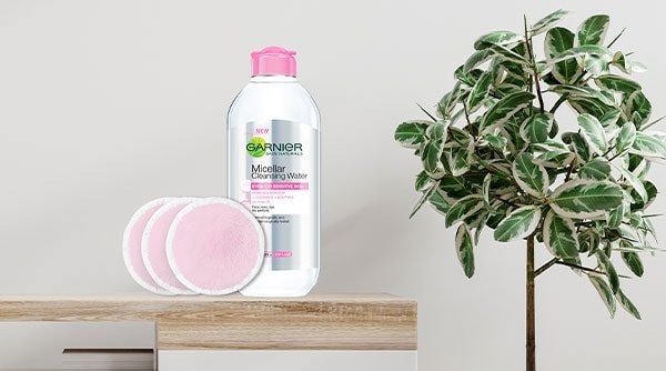 Garnier shop makeup cleanser