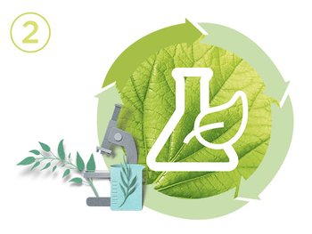 Garnier commits to Sustainable Green Beauty: sustainability with green Sciences and biodegradability