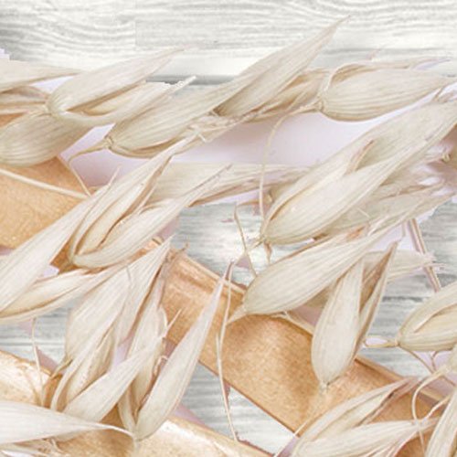 Oat