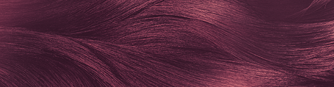 Garnier Black Naturals Burgundy Hair Color For Men & Women – Shade 