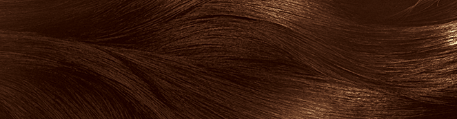 Garnier Black Naturals Natural Brown Hair Color For Men & Women – Shade 4