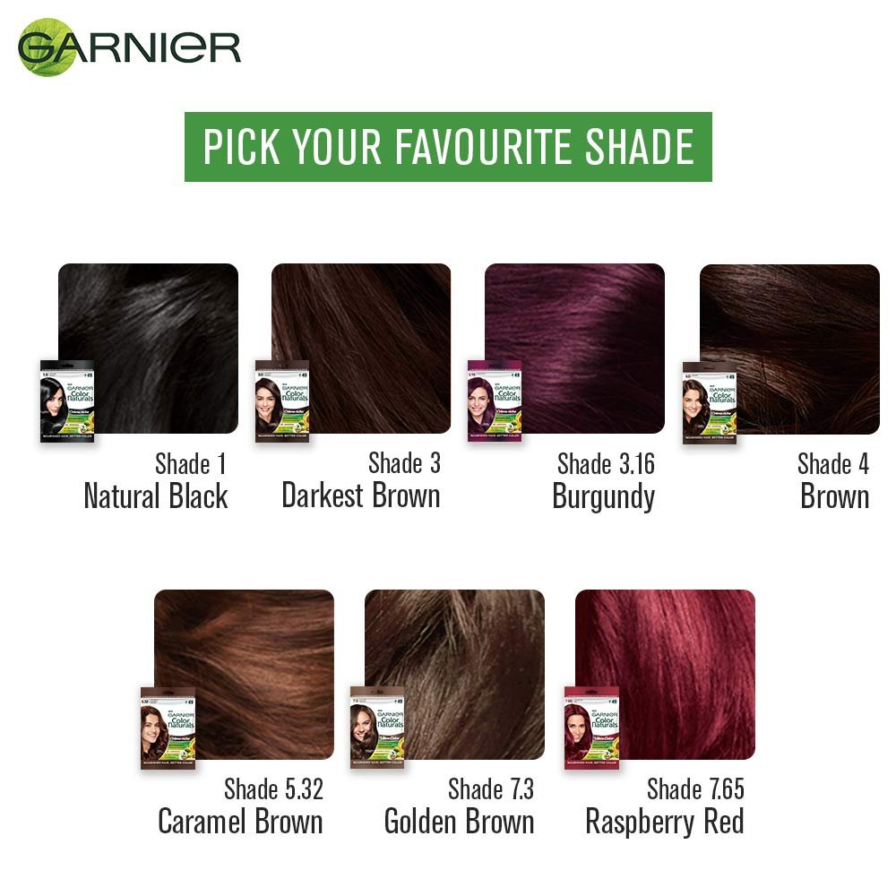 Garnier Hair Color Pouch Shades