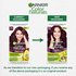 Garnier Color Naturals Shade 3.16 Burgundy