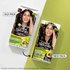 Garnier Color Naturals Shade 4 Brown