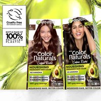Garnier Color Naturals Shade 4 Brown