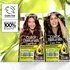 Garnier Color Naturals Shade 4 Brown