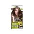 Garnier Color Naturals Shade 5.32 Caramel Brown
