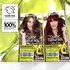 Garnier Color Naturals Shade 5.32 Caramel Brown