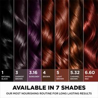 Garnier Color Naturals Shade 5.32 Caramel Brown