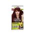 Garnier Color Naturals Shade 6.60 Intense Red