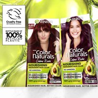 Garnier Color Naturals Shade 6.60 Intense Red