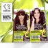 Garnier Color Naturals Shade 6.60 Intense Red