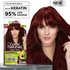 Garnier Color Naturals Shade 6.60 Intense Red