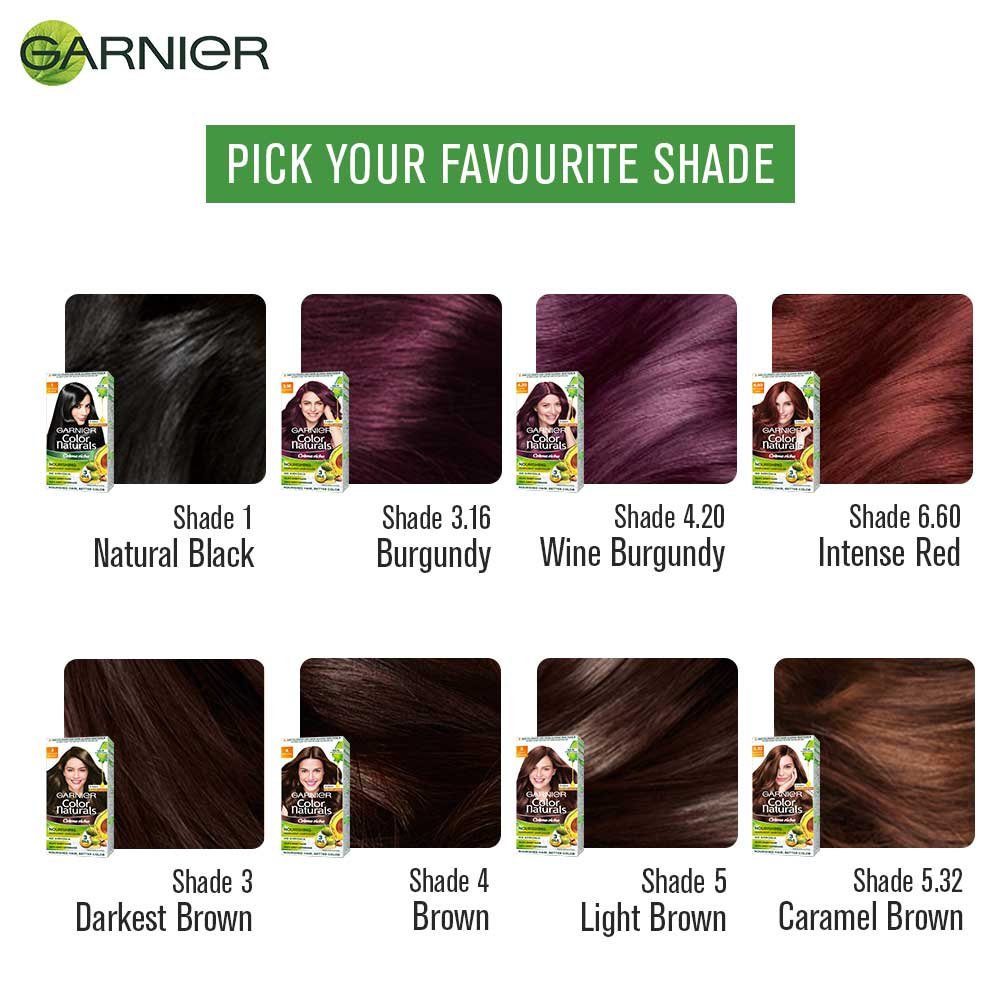Garnier Hair Color Shade Card Palette