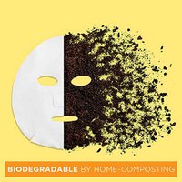 Garnier Vitamin C Serum Sheet Mask