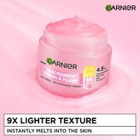 Garnier Fresh and Plump
